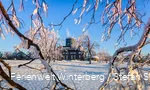 Astenturm im Schnee