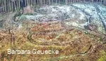 Luftbild Güllener Ring