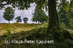 seelenort-schwalenburg-blick-auf-turm_c__klaus-peter_kappest.jpg
