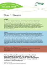 Infotafel Station 7