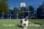 sportanlage-viadukt c) wolfgang-detemple-tourist-information-willingen.jpg