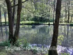 Teich an der Grillstation Schwalefeld