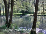 Teich an der Grillstation Schwalefeld