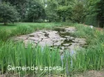 Barockgarten, Teich