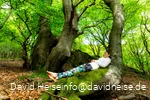 Waldbaden.David.Heise.jpg