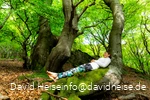 Waldbaden.David.Heise.jpg