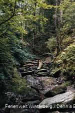 DSC04728.jpg