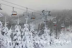 Winter_2023_Postwiese_Neuastenberg_stephanpetersdesign.de-18 (1).jpeg