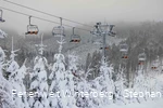 Winter_2023_Postwiese_Neuastenberg_stephanpetersdesign.de-18 (1).jpeg