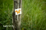 Sabrinity_BWT25_303.jpg