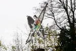 Der Schmetterling