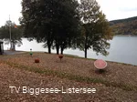 Bewegungsmeile an dem Biggesee 9