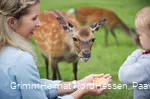 Wildpark Frankenberg (Eder)