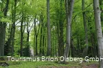 Kneipp WanderWeg Olsberg