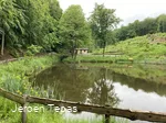 IMG_2950.jpeg