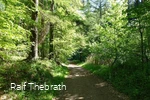 Mitten durch den Wald und die Natur führt der Trim