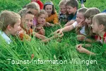 kinder-im-gras c) tourist-information-willingen.jpg