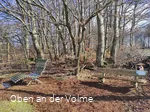 Der Rast- und Aussichtspunkt bei Marlin