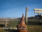 Scheuerpfahl Bürste